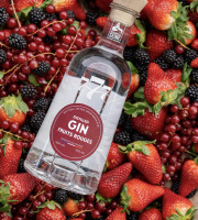 Distillerie de la Seine - Gin Fruits Rouges
