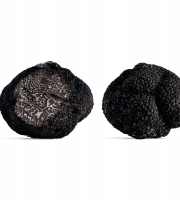 Domaine de Vielcroze - Truffes Noires Fraiches Entières Du Périgord Tuber Mélanosporum - 1ère Catégorie