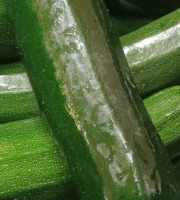 Ferme Joos - Courgette - 5kg