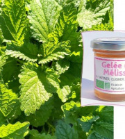 L'Agricueilleur du Suzon - Gelée de Mélisse Bio