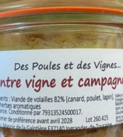 Des Poules et des Vignes à Bourgueil - Entre Vignes et Campagne