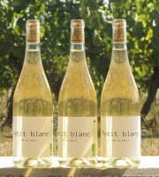 Domaine la Paganie - Vin blanc Bio - Petit blanc - 3 bouteilles