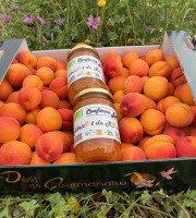 Délit de Gourmandise - Lot 3,5kg Abricots Bio et 2x375g de confitures d'Abricot du Roussillon Bio