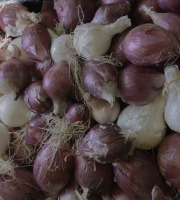 ChâteauFer - Oignon Frais Mix