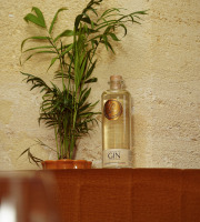 Maison Mounicq - Gin Avem - Sylvia - Liqueur de gin à la fleur de sureau