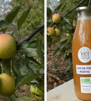 Terres EnVie - Jus De Pommes Bio « rustic » Variétés Anciennes