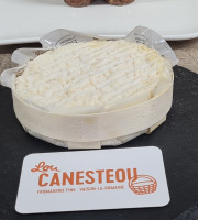 Lou Canesteou - Saint Félicien Tentation double crème