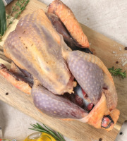 La Ferme Durbois - [Précommande] Pintade chaponnée - 2,3 kg