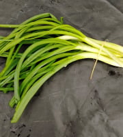 Nature et Saveurs - Ferme Aquaponique et Permacole Astérienne - Oignon Jeune Blanc