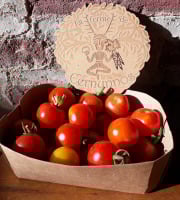 Ferme de Cernunnos - Tomates apéro - 500g