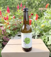 Nature et Saveurs - Ferme Aquaponique et Permacole Astérienne - Kombucha Menthe Bio Bysco - 75cl