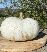Ferme Sinsac - courge bleu de Hongrie