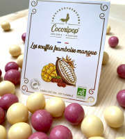 Cocoripop - soufflés mangue framboise 100g x 8