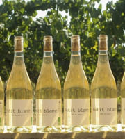 Domaine la Paganie - Vin blanc Bio - Petit blanc - 6 bouteilles