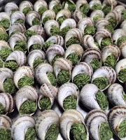 Le Paradis d'Escargot - 10 douzaine Escargots traditionnel a la bourguignon