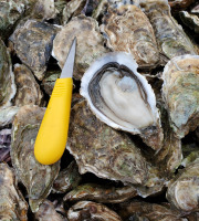 Huitres Damerose - Huitres naturelles Spéciales n°2 - 1 douzaine (12 pièces)