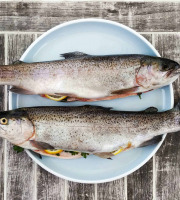 Nature et Saveurs - Ferme Aquaponique et Permacole Astérienne - Truite blanche portion aquaponique – équilibre et clarté