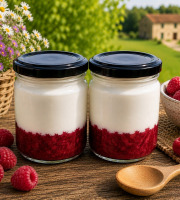 Gaec de l'Elanion - Lot de 2 Fromage Blanc Framboise
