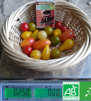 LES JARDINS DE KARINE - Tomates cerises en mélange - 250g
