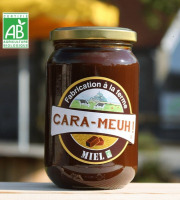 La Ferme des Cara-Meuh - Crème de caramel miel BIO – pot 420g
