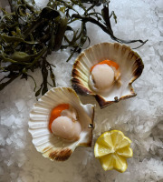 Brest Marée - Noix de Saint Jacques de la Baie de Morlaix - 300g