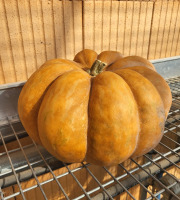 ChâteauFer - Courge musquée de Provence
