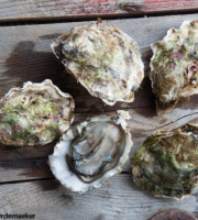 Camargue Coquillages - Huitres La Perle de Camargue N°0 - 2 kg