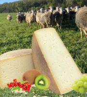 Dessine moi une brebis - Tomme de brebis 200g