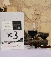 Domaine de la Chopinière du Roy - Lot de 3 BIB de vin rouge 2025 Saint Nicolas de Bourgueil 5 Litres