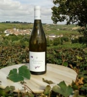 Domaine Doudeau-Leger - Sancerre Blanc AOC 2023 - 1 Bouteille