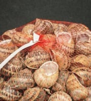 Boucherie Puig - Lot de 2 filets de 100 escargots