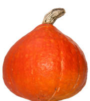 Le Châtaignier - Potimarron +2kg