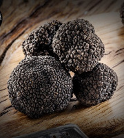 Boucherie Moderne - [Précommande] Truffe fraîche du Périgord - 23g