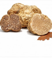Truffes des Roches - Truffe Blanche Borchii (Italie) 50g