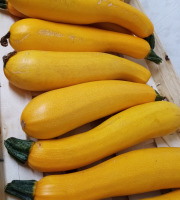 Le Rucher de Cantiers - Courgettes jaunes du jardin