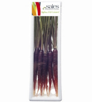 Maison Sales - Végétaux d'Art Culinaire - -2- Mini Carotte Pourpre - 12 Pcs Minimum