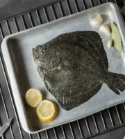 Brest Marée - Turbot - 1kg