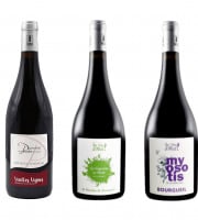 Domaine de la Perrée - AOC Saint Nicolas de Bourgueil & Bourgueil - Coffret Reflets Rouges 3 Bouteilles