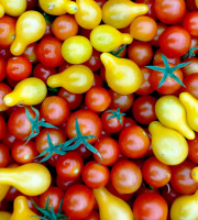 Nature et Saveurs - Ferme Aquaponique et Permacole Astérienne - Tomates cerises rouges & poire jaune : le duo gourmand