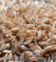 Adal Terra - Balles De Petit Epeautre Bio Dépoussiérées 300KG