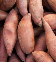 Maréchal Fraicheur - Patate douce - 1 kg
