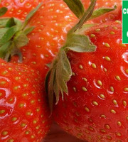 Mon Petit Producteur - Fraise Bio Dar Select [vendu Par 250g]