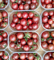 Nature et Saveurs - Ferme Aquaponique et Permacole Astérienne - Tomates Black Cherry