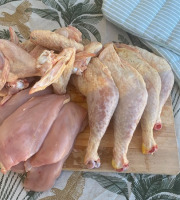 Ferme des Gravelines - Lot « La découpe en fête » - 1kg cuisses, 1kg de filets, 1kg d'ailes