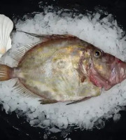 Brest Marée - Saint-Pierre - Pièce de 1kg