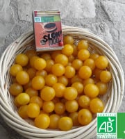 LES JARDINS DE KARINE - Prune Myrobolan jaune surgelée avec noyau - 1kg