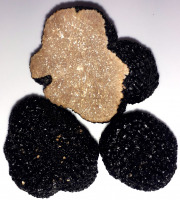 Ferme de Pourcier - Truffe Fraîche - Truffe d'été 100g
