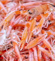 Poissonnerie La Piriacaise - Langoustines cuites