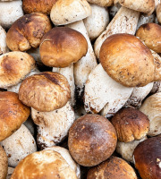 Naturélium - Cèpes frais de France – Chair blanche et ferme, de 250 g à 3 kg (63 caractères)