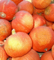 ChâteauFer - Courge - Carat 1kg